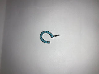 The Sis Kiss - Lucky Horseshoe Charm: Gold / Turquoise
