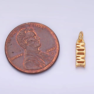 24K Gold Filled Grandmother "MIMI" Script Charm in Silver