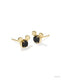 Black Drusy
