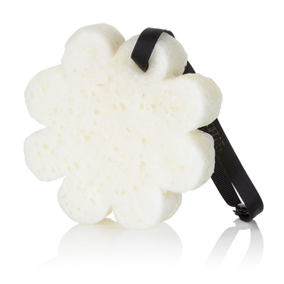 Spongellé |Black Orchid Boxed Flower