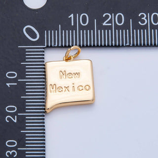 18K Gold Filled USA State Charm in Gold/Silver