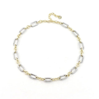 The Sis Kiss - Two Tone Collectors Necklace - for Charms and Pendants