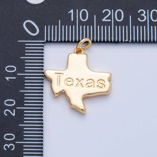 18K Gold Filled USA State Charm in Gold/Silver