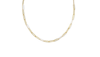 Courtney Enamel Link Necklace