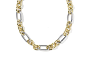 Embry Link Chain Mixed Metal Necklace