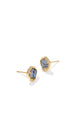 Gold Abalone