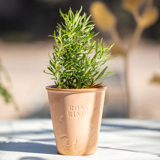 Rosy Rings - Basil Orange Garden Pot Candle + Plantable Seed Dust Cover