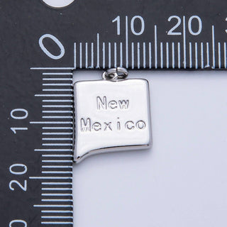 18K Gold Filled USA State Charm in Gold/Silver
