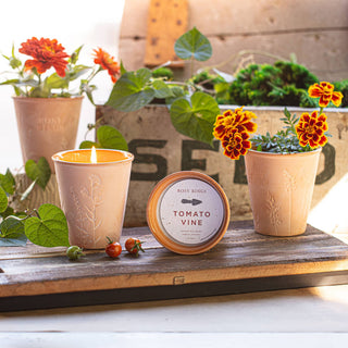 Rosy Rings - Basil Orange Garden Pot Candle + Plantable Seed Dust Cover