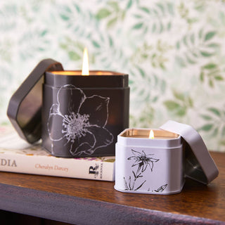 Rosy Rings - Accent Tin Candle - Apricot Rose