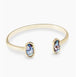 Gold Abalone Shell
