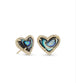 Gold Abalone Shell
