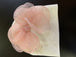 White w/ Pink Stone Bow