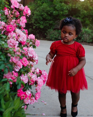 Mikayla Puff Sleeve Tutu Dress - Wine
